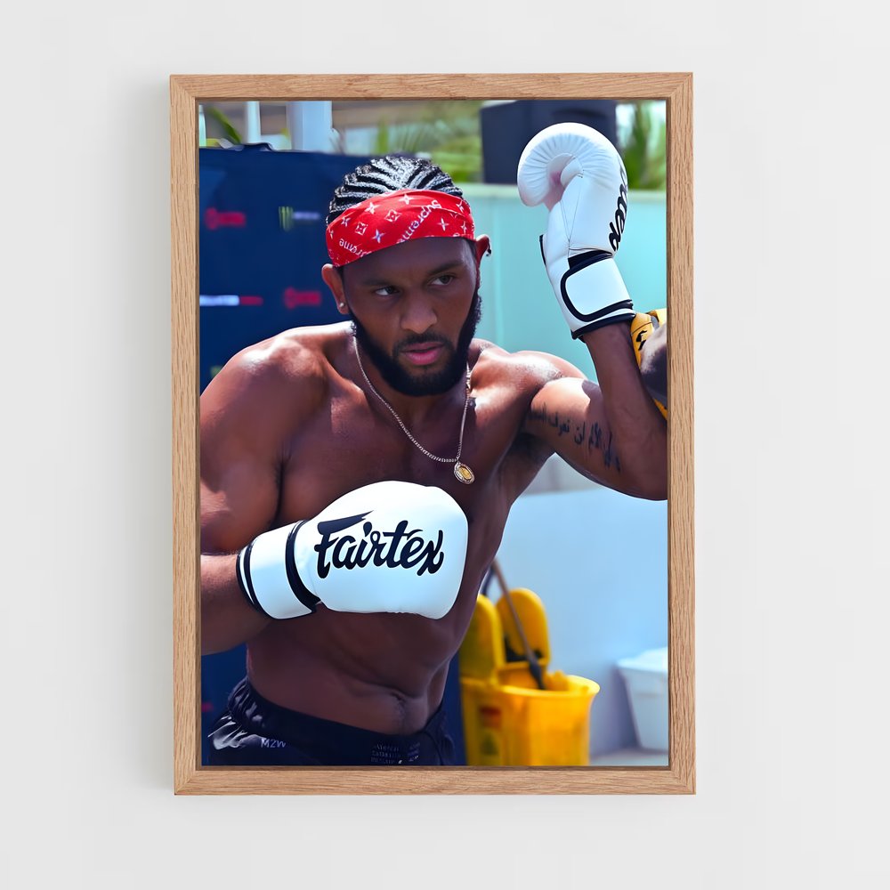 Poster Knockout Spirit – affiche MMA (vue 4)